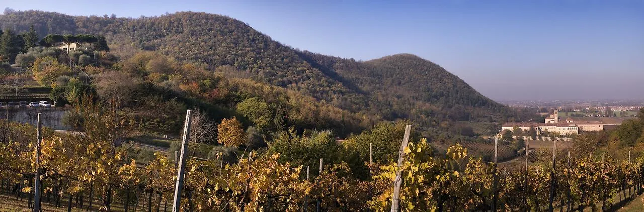 Fattoria Busa Dell'Oro Monte Ortone